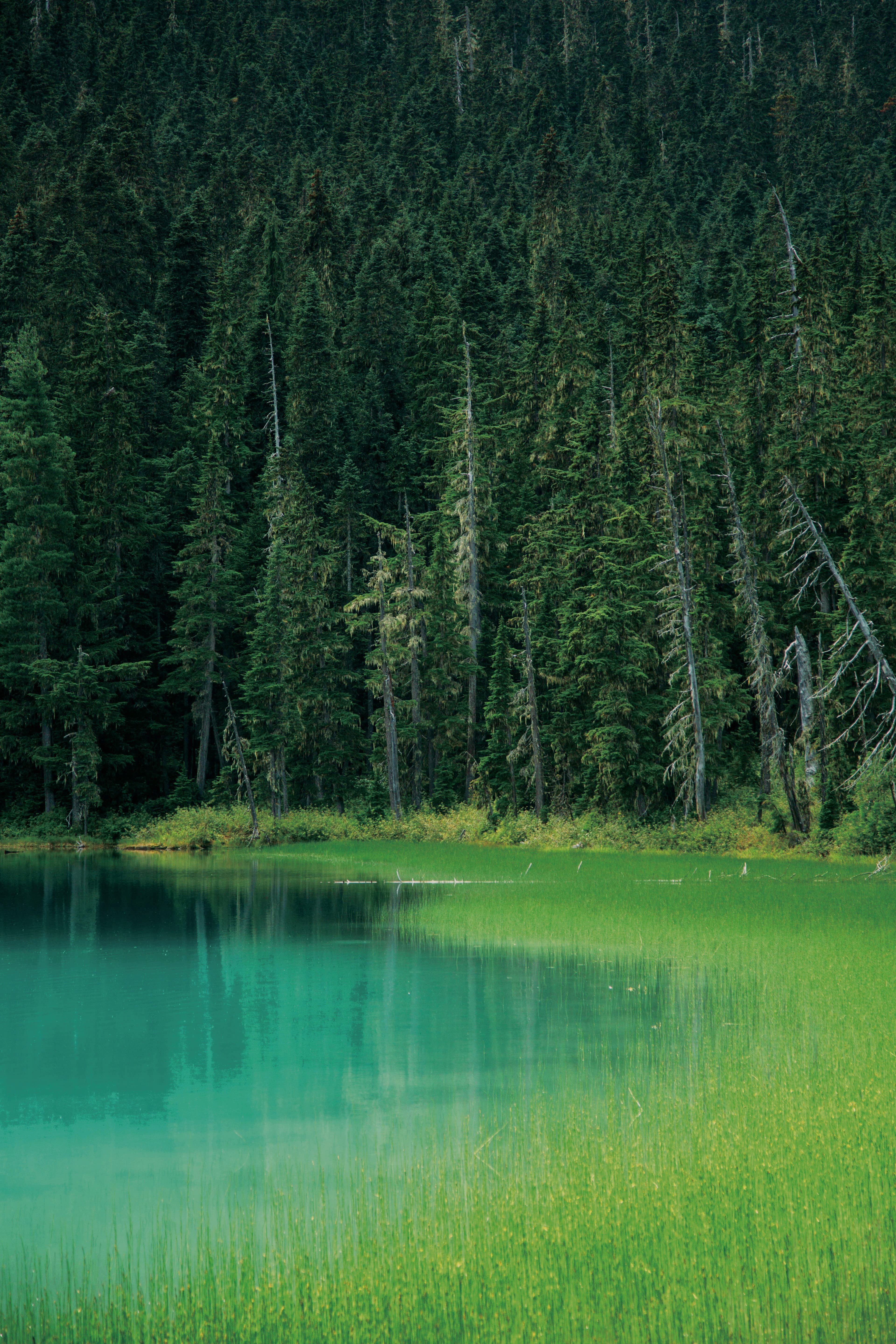 종이 카드 색상 차이 예시 2